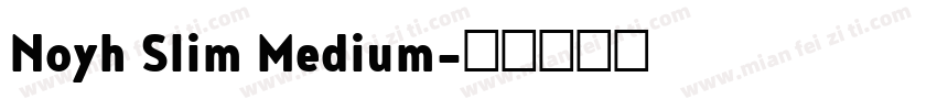 Noyh Slim Medium字体转换